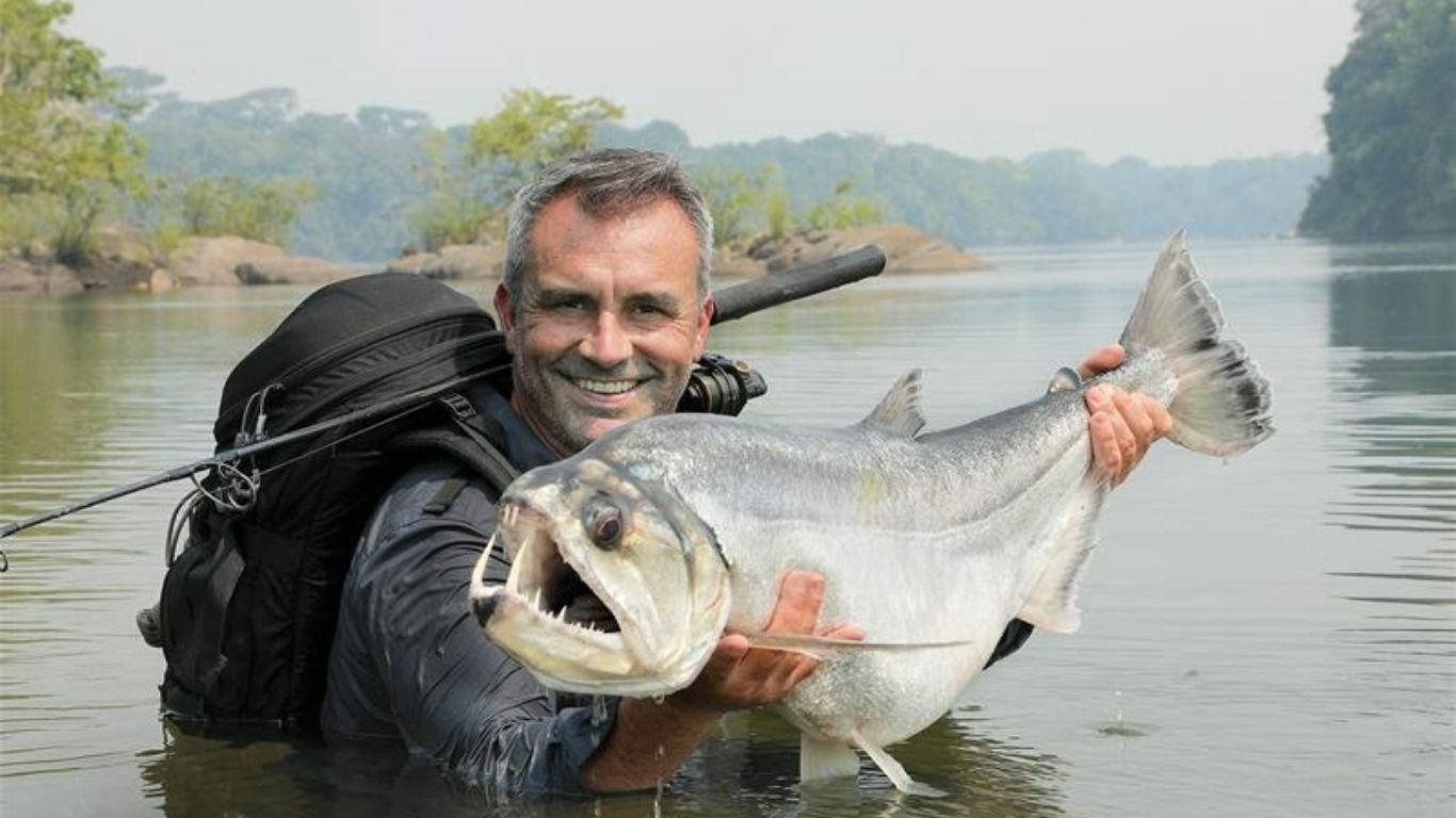 Cyril Chauquet Fortune